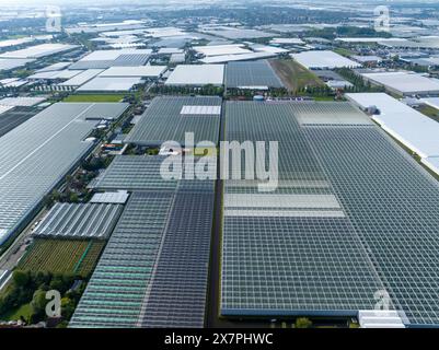 Ampio Squaresd di serre situato nei Paesi Bassi, vista sul drone aereo. Serre verdi vicino a Monster, l'Aia. Foto Stock