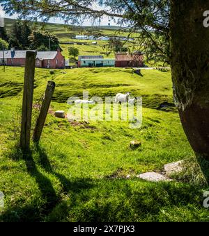 Vista a Wanlockhead, il villaggio più alto della Scozia. Dumfries & Galloway, Scozia Foto Stock