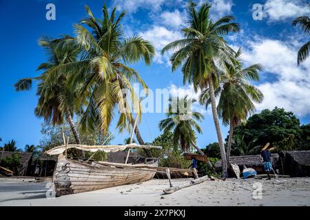 Natura in Africa Foto Stock