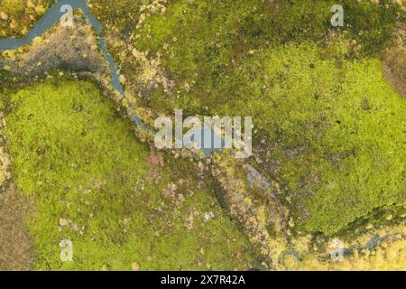 Questa immagine dall'alto cattura la bellezza naturale e le varie texture degli altopiani islandesi, con muschio lussureggiante, corpi d'acqua e paesaggi aspri. Foto Stock