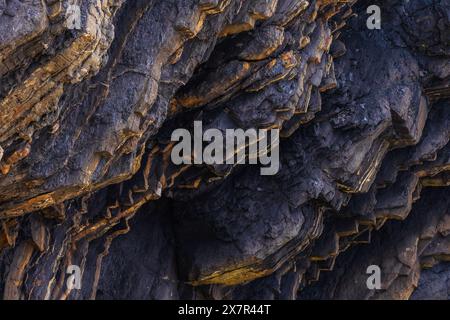 Foto ravvicinata di formazioni rocciose a strati che mostrano texture intricate e sfumature di grigio ardesia scuro, mescolate con tocchi di giallo dorato Foto Stock