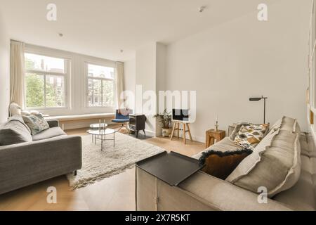 Un soggiorno accogliente e moderno con eleganti divani, tavolino da caffè in vetro e TV minimalista, il tutto sotto la luce naturale dalle grandi finestre. Foto Stock