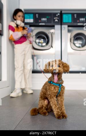 Una ragazza preadolescente ingaggiata nel suo telefono si trova in una moderna lavanderia mentre il suo cane felice posa per la macchina fotografica. Foto Stock