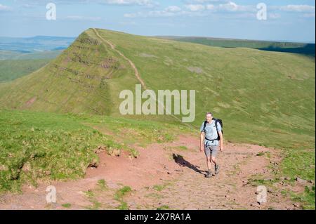 Uomo ascendente Craig Cwm Sere con Cribyn in background, Brecon Beacons, Powys, Galles, Regno Unito Foto Stock