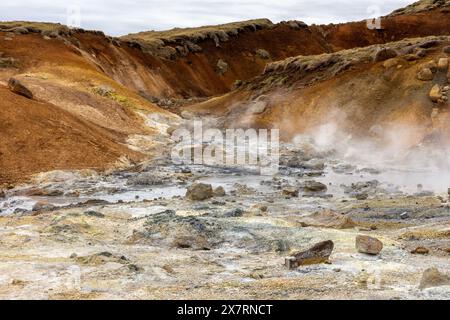 Area geotermica di Seltun nel Krysuvik, paesaggio con sorgenti calde fumanti e colori arancioni del suolo zolfo, Islanda. Foto Stock