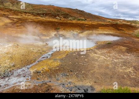 Area geotermica di Seltun nel Krysuvik, paesaggio con sorgenti calde fumanti e colori arancioni del suolo zolfo, Islanda. Foto Stock
