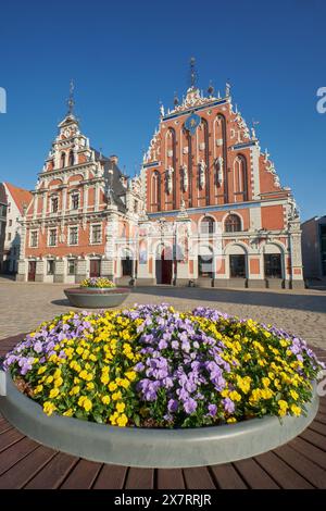 Piazza del Municipio vecchio, riga, Lettonia. L'edificio medievale della Casa delle teste nere è sullo sfondo. Foto Stock