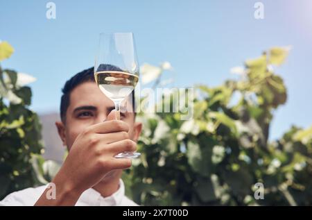 Vigneto, uomo e controllo della qualità del vino in calice presso l'azienda agricola all'aperto per l'agricoltura estiva, la crescita o la raccolta in campagna. Azienda vinicola, enologo e mano Foto Stock