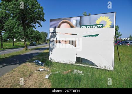 DEU: Hass auf Grüne Politiker KÜHLUNGSBORN, DEUTSCHLAND - 21. Mai 2024, Ein Wahlkampfplakat der Grünen mit der Kandidatin Terry Reintke mit der Aufschrift Ein starkes Europa bedeudet ein sicheres Deutschland. Der Wahlkampf wird von vielen mutwillig beschaedigten Wahlplakaten gepraegt. *** DEU odio per i politici verdi KÜHLUNGSBORN, GERMANIA 21 maggio 2024, Un poster della campagna elettorale del Partito Verde con il candidato Terry Reintke con l'iscrizione Un'Europa forte significa una Germania sicura la campagna elettorale è caratterizzata da molti manifesti elettorali vandalizzati Foto Stock