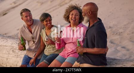 Coppia matura con amici seduti all'aperto sulla spiaggia bevendo birra e vino guardando il tramonto Foto Stock