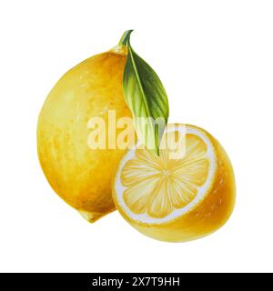 Limoni freschi maturi con foglie verdi brillanti. Disegno ad acquerello tagliato a fette di agrumi dipinto a mano sullo sfondo. Per designer, cartoline, inviti alla festa Foto Stock