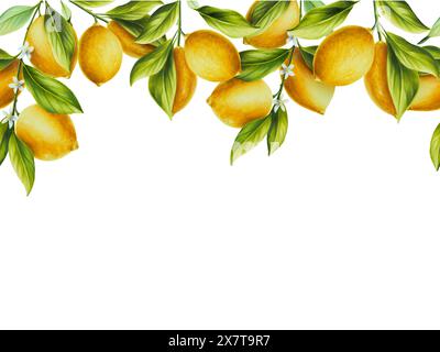 Cornice senza cuciture, bordo con limoni freschi maturi con foglie e fiori verdi brillanti. Disegno ad acquerello tagliato a fette di agrumi dipinto a mano sullo sfondo. Fil Foto Stock
