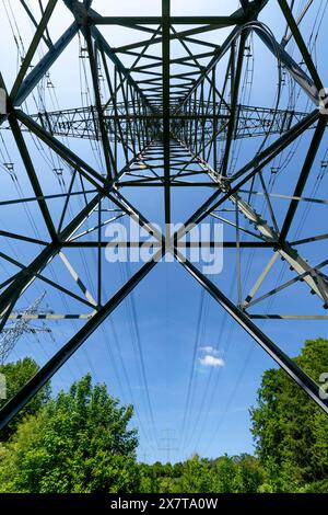 Una grande torre metallica con linee elettriche e fili che la attraversano. La torre è circondata da alberi e il cielo è blu. Foto Stock