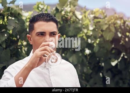 Degustazione di vigneti, uomini e vini in calice presso l'azienda agricola all'aperto per l'agricoltura estiva, la qualità o la vendemmia in campagna. Azienda vinicola, enologo e bevande alcoliche Foto Stock