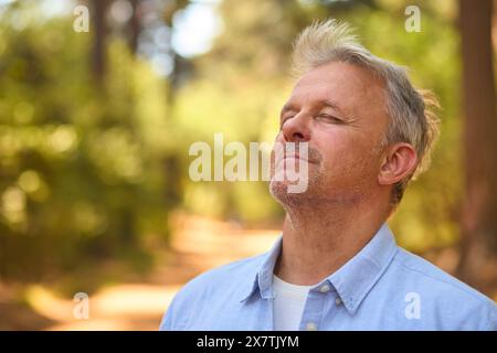 Tranquillo uomo anziano rilassante in mezzo alla natura nella foresta circondato da alberi a occhi chiusi Foto Stock