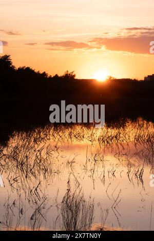 Alberi dalla silhouette scura e splendidi tramonti si riflettono nel lago Foto Stock