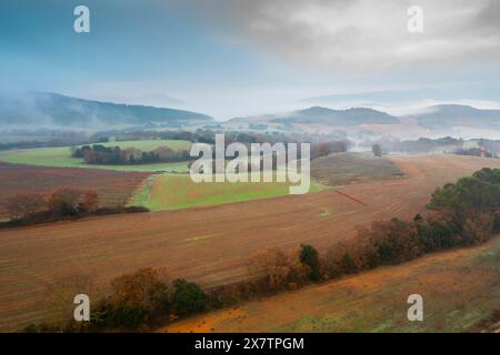 Vista aerea delle terre coltivate e delle siepi in autunno con nebbia. Ayegui, Navarra, Spagna, Europa. Foto Stock