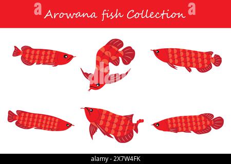 raccolta di pesci arowana. pesce arowana in pose diverse. Illustrazione vettoriale. Illustrazione Vettoriale