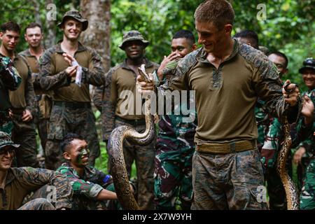 Bandar Lampung, Indonesia. 16 maggio 2024. Zackary Wyant, un capo di squadra assegnato alla Charlie Company, Battalion Landing Team 1/5, 15th Marine Expeditionary Unit, detiene un Boa Constrictor durante l'addestramento di sopravvivenza nella giungla con i Marines indonesiani assegnati al 9th Infantry Battalion, 4th Marine Brigade, durante Exercise Cooperation Aboat Readiness and Training (KARAT) Indonesia 24 a Bandar Lampung, Indonesia, 16 maggio 2024. Quest'anno segna la 30esima edizione di KARAT, una serie di esercitazioni multinazionali progettata per migliorare le capacità delle marine statunitensi e dei partner di operare insieme Foto Stock