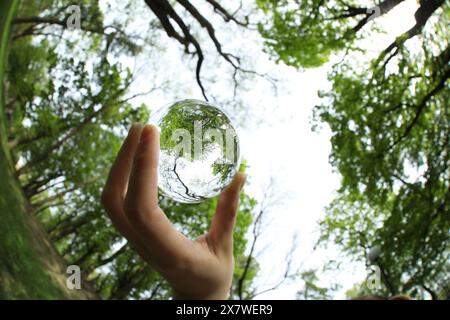 Splendidi alberi verdi all'aperto, riflessi rovesciati. Uomo che tiene la palla di cristallo nel parco, primo piano. Obiettivo grandangolare Foto Stock