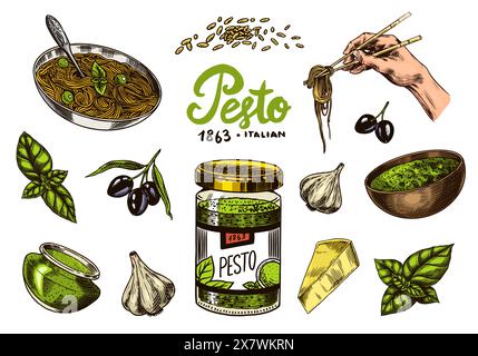 Set di salsa al pesto. Foglie di basilico, aglio, pinoli, parmigiano, olio d'oliva, pesto alla genovese. Condimento piccante, bottiglia di vetro, cucchiaio di legno o. Illustrazione Vettoriale