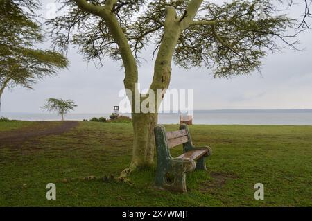 Verde e isolato False Bay park in zone umide Isimangaliso KZNSouth in Africa Foto Stock
