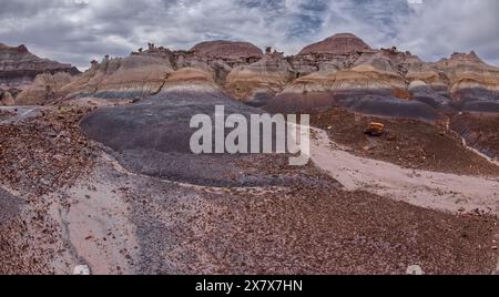 Hoodoo riempì le scogliere sul lato nord di Blue Mesa nel Petrified Forest National Park in Arizona. Foto Stock