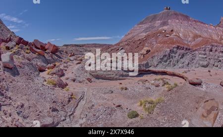 Dry creek sotto Crystal Butte a ovest di Hamilili Point nel Petrified Forest National Park in Arizona. Foto Stock