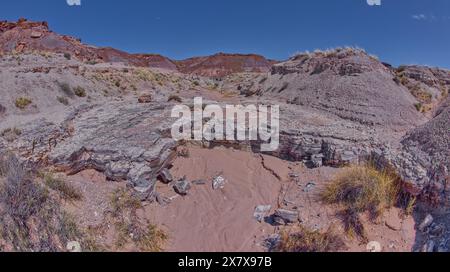 Una cascata secca a Crystal Creek sotto Crystal Mesa a ovest di Hamilili Point nel Petrified Forest National Park in Arizona. Foto Stock