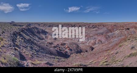 Vista dalla cima di Crystal Mesa a ovest di Hamilili Point nel Petrified Forest National Park in Arizona. Foto Stock