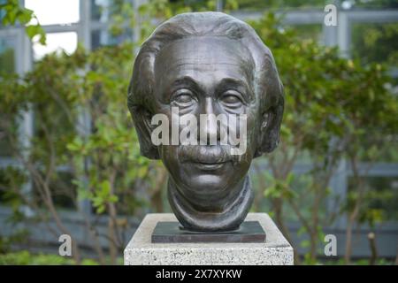 Büste Albert Einstein, Straße der Erinnerung, Spreebogen, Moabit, Mitte, Berlin, Deutschland *** Busto di Albert Einstein, Street of Remembrance, Spreebogen, Moabit, Mitte, Berlino, Germania Foto Stock