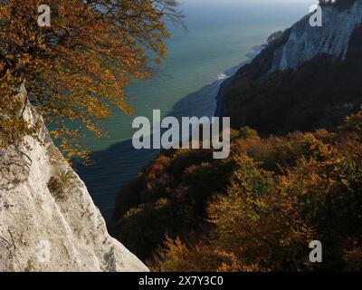 Scogliere di legno che si affacciano sul mare calmo circondate da foglie autunnali dai vibranti colori autunnali, foglie autunnali e rocce bianche sulla costa con il mare Foto Stock