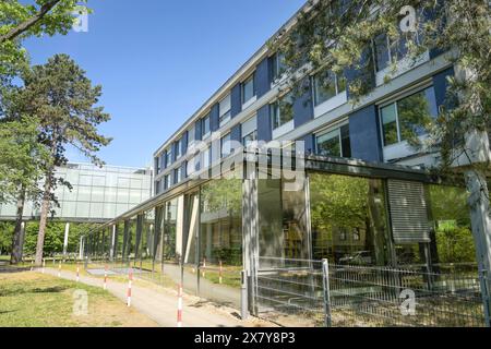 Otto Suhr Institute for Political Science, Freie Universität, Ihnestraße, Dahlem, Steglitz-Zehlendorf, Berlino, Germania, Europa Foto Stock