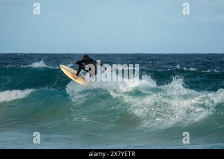 Vista dei surfisti su un'onda da dietro che catturano un'onda Foto Stock