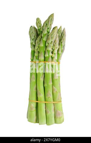 Mazzo di asparagi verdi crudi isolati su sfondo bianco. Germogli commestibili di erba salpata, steli legati con fascia elastica. Cibo sano, vegetale fresco Foto Stock