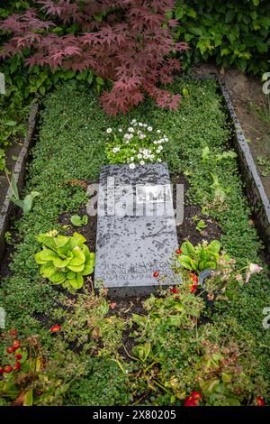 Berlin Schöneberg-Tempelhof OT Friedenau, Stubenrauchstraße Grab Helmut Newton und Ehefrau June Newton, aka Alice Springs - 22.05.2024 *Fotos, Die nur das Portrait von Helmut Newton auf dem Grabstein zeigen, sind veraltet Friedhof *** Berlin Schöneberg Tempelhof OT Friedenau, Stubenrauchstraße grave Helmut Newton e moglie June Newton, alias Alice Springs 22 05 2024 le foto che mostrano solo il ritratto di Helmut Newton sulla lapide sono un cimitero obsoleto Foto Stock