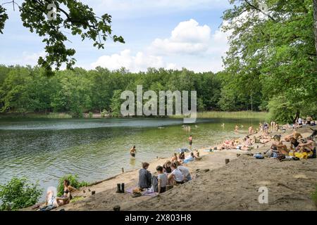 Badestelle, Krumme Lanke, Zehlendorf, Steglitz-Zehlendorf, Berlino, Deutschland NO MODEL RELEASE *** Bathing area, Krumme Lanke, Zehlendorf, Steglitz Zehlendorf, Berlino, GERMANIA NESSUNA VERSIONE DEL MODELLO Foto Stock