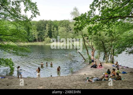 Badestelle, Krumme Lanke, Zehlendorf, Steglitz-Zehlendorf, Berlino, Deutschland NO MODEL RELEASE *** Bathing area, Krumme Lanke, Zehlendorf, Steglitz Zehlendorf, Berlino, GERMANIA NESSUNA VERSIONE DEL MODELLO Foto Stock