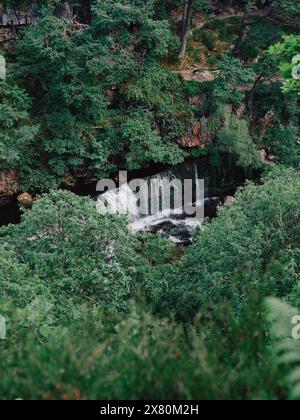 Cascate Sgwd ISAF Clun-Gwyn sul fiume Mellte, a circa 20 metri di altezza, circondate da splendidi boschi, Brecon Beacons Wales UK Foto Stock