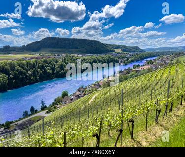 Eglisau (Svizzera) in primavera Foto Stock