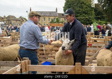 Giudice che stringe la mano con un partecipante maschio in piedi in una penna di legno con la sua pecora premio alla Masham Sheep Fair, Regno Unito Foto Stock