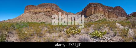 Formazioni rocciose lungo il Lower burro Mesa Pouroff Trail al Big Bend National Park, Texas. Foto Stock