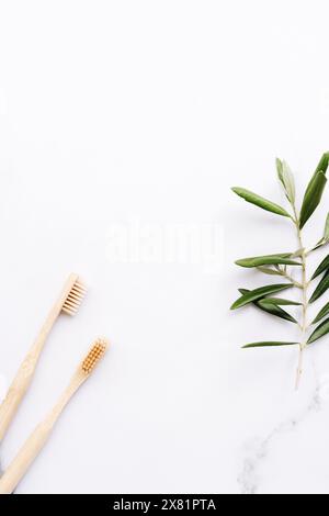 Due spazzolini da denti in bambù ecologici e cornice con ramoscello d'oliva su sfondo bianco. Prodotto di bellezza naturale per il bagno. Disposizione piatta, vista dall'alto Foto Stock