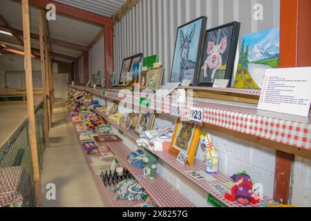 Bandon Agricultural Show, Castlebernard, Bandon, maggio 2024 Foto Stock