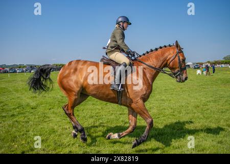 Bandon Agricultural Show, Castlebernard, Bandon, maggio 2024 Foto Stock