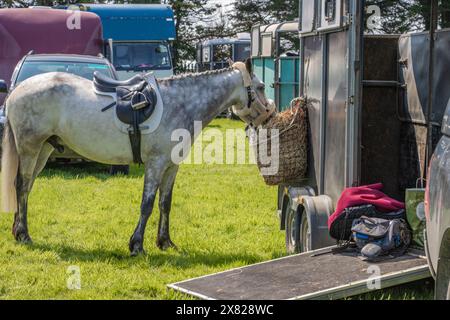 Bandon Agricultural Show, Castlebernard, Bandon, maggio 2024 Foto Stock