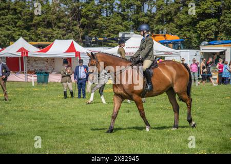 Bandon Agricultural Show, Castlebernard, Bandon, maggio 2024 Foto Stock