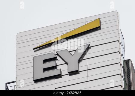 Il logo Ernst & Young è visibile nella strada principale di Varsavia. Si prevede che nel 2024 il paese subirà una crescita economica di circa il 3%, trainata da un'ampia estensione dei consumi pubblici. Foto Stock