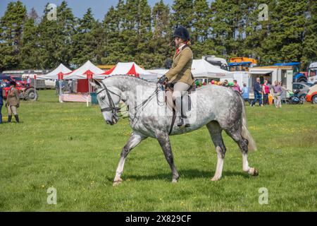 Bandon Agricultural Show, Castlebernard, Bandon, maggio 2024 Foto Stock