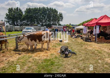 Bandon Agricultural Show, Castlebernard, Bandon, maggio 2024 Foto Stock